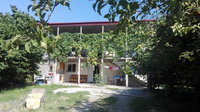 MIMINO Images_1