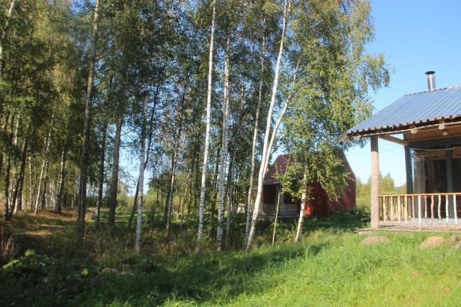 Синий дом Images_5