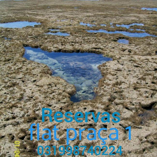 Flat Praça 4 Images_4