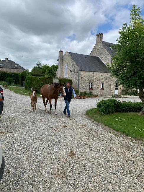 Ferme du Loucel Images_1