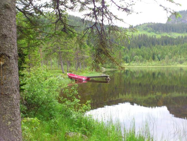 Leilighet i Åmotsdal Images_2