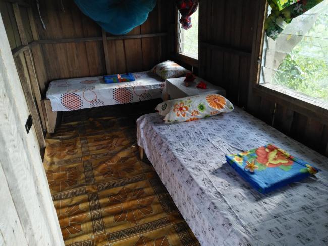 Volcano Horizon Tree House Images_4