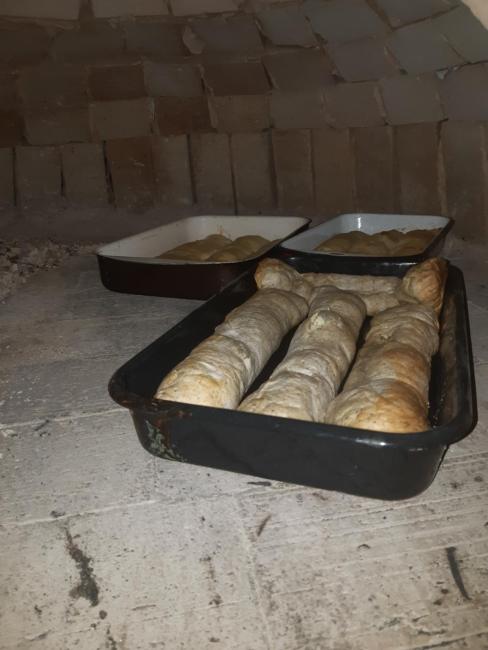 Studio Zeka/Bunny Images_3