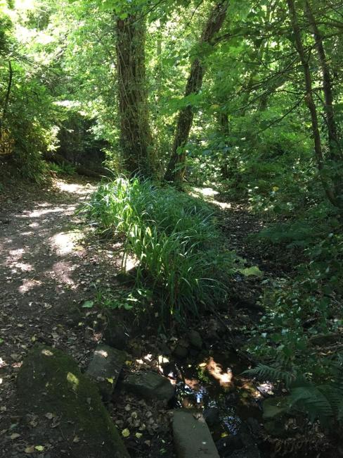 Ivy Cottage Images_2