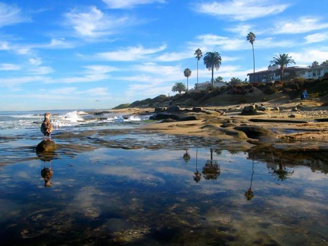 #355 - Take it Easy Images_1