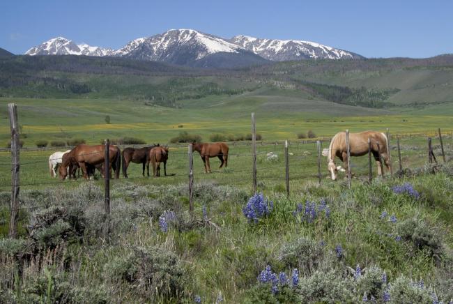 New Listing! Mountain-View Getaway: Stroll to Town condo Images_2