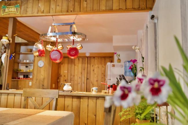Rustic Cabin - Volcano Inn Images_3