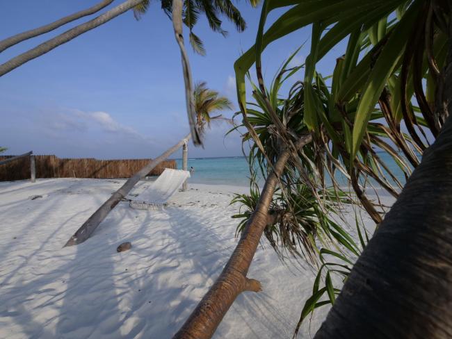 Scuba Divine Maldives - Dhangethi Images_1