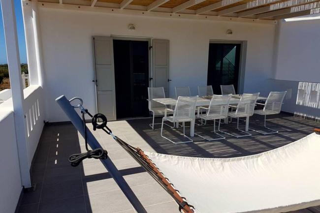 The Lemon Tree Images_4