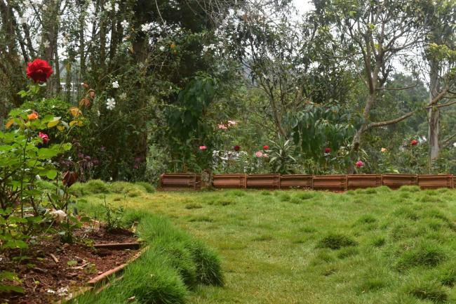 Hillside View Images_4