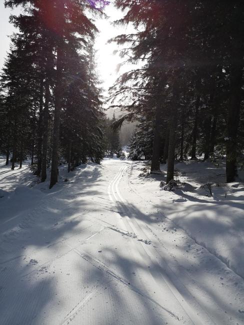 Ferienwohnung Laßhofer Images_3