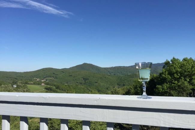 Banner Elk Home with Mtn Views, BBQ & Pool Table Images_3