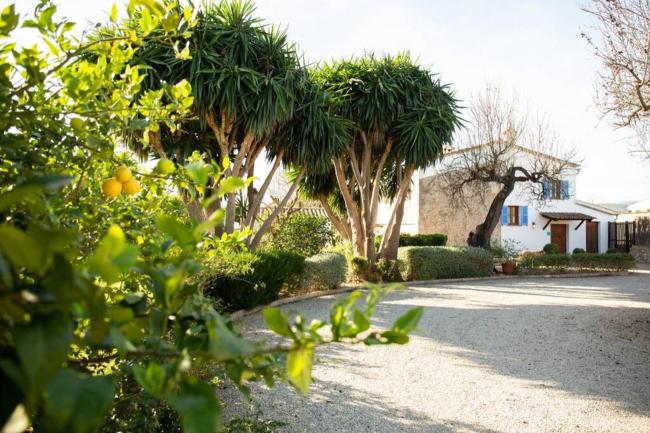 Fantastic Private Finca with Pool, Can Jaume Images_4