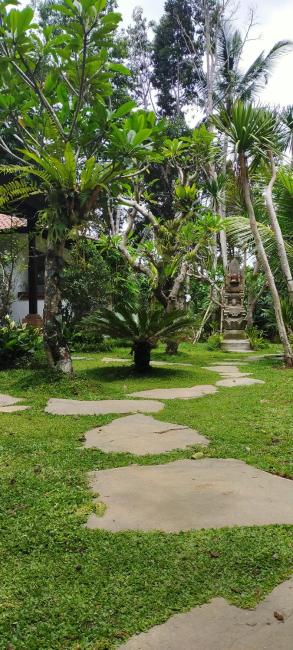 Tangkas house jungle Images_5