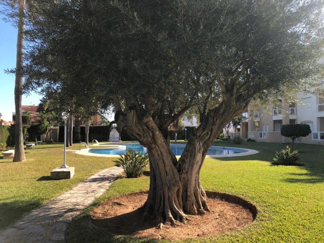 Hort 2-Serviden Images_2