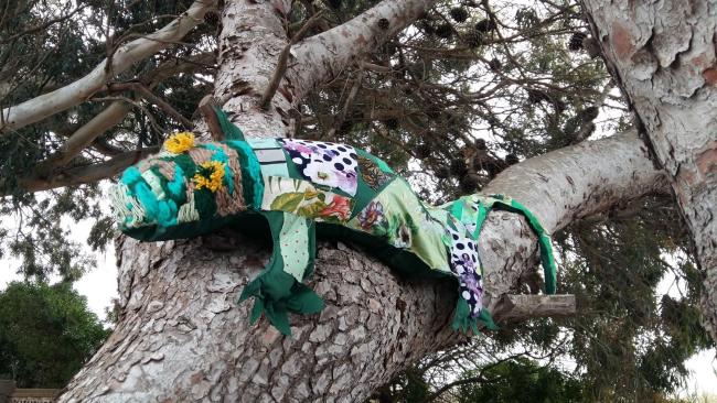 Finca Las Dunas con dos Chalets con jacuzzis en primera linea de playa uno de 4 dormitorios y otro de 2 dormitorios Images_3