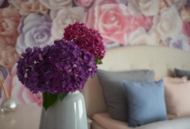 Apartment Rose Sasbachwalden Images