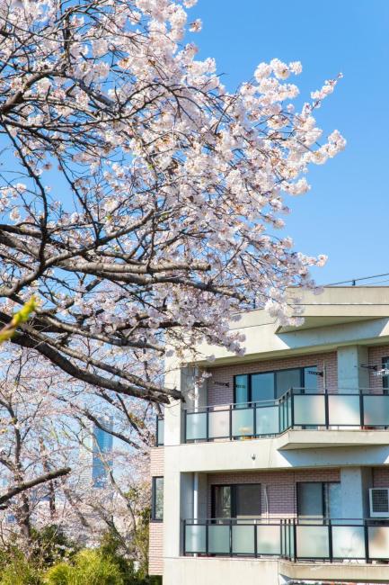 Heirakuen Nibankan 3F Images_1