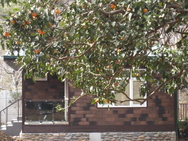 Lovely Urekhi Images_4