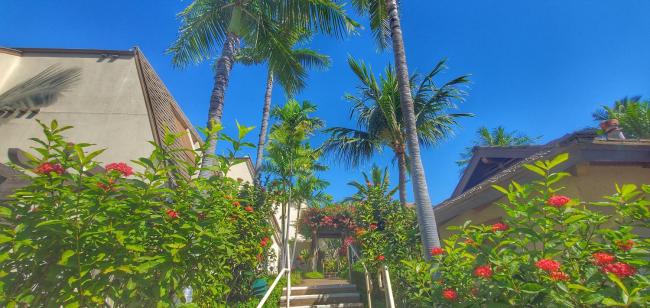 Maui Kamaole #A-201 Images_5