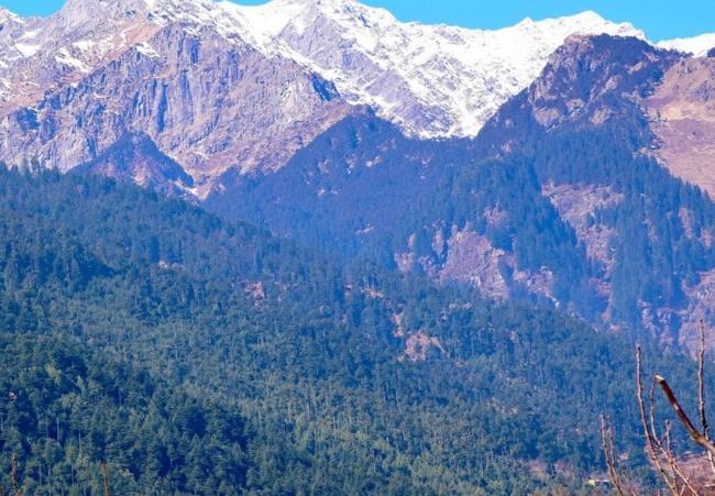 Hotel Mahavir Manali Images_3