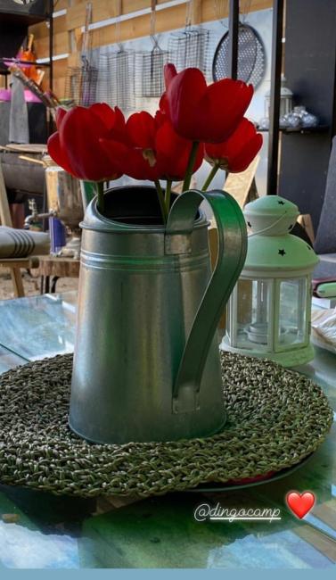 Дикие Дачи Images_2