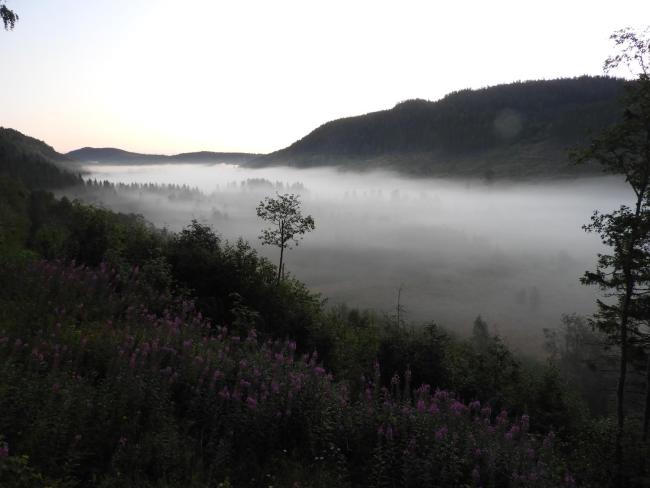 Ateljéstugan med magisk utsikt Images_4