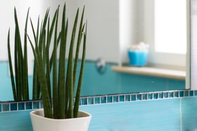 Mavip Residence Images_4