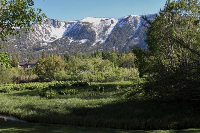2 Bedroom Condo Plus loft with Mountain and Meadow Views condo Images_2