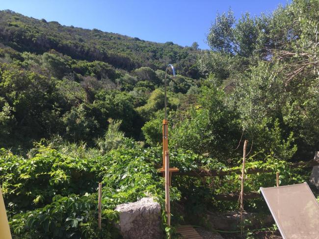 Studio Naturiste Ile du Levant N2 Idéal accès mer Images_5