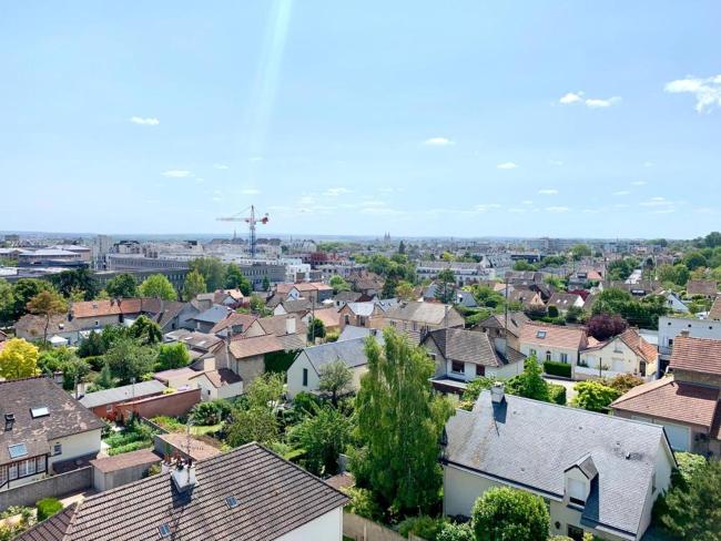 Le Jungle Appartement Images_1