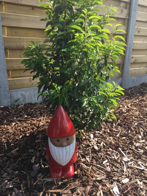 Jardin Jannik Images_2