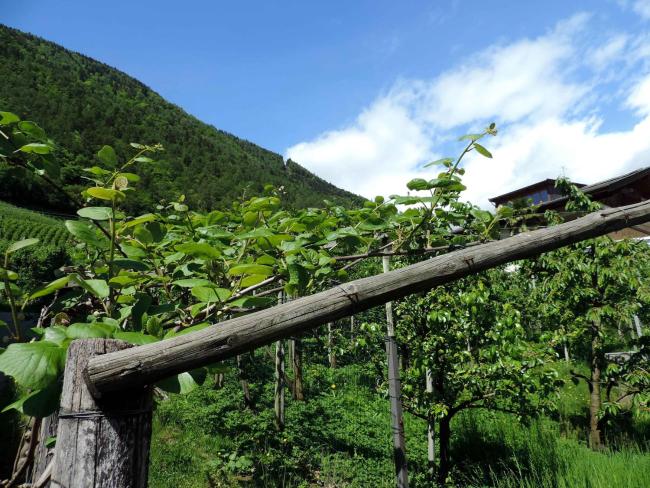 Rochelehof Images_3