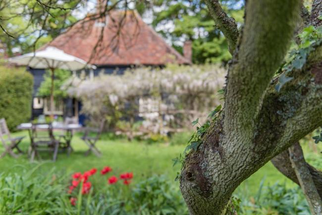 Walnut Tree Cottage by Bloom Stays Images_1