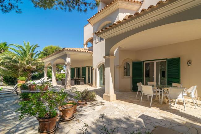 Can Camelia Images_4