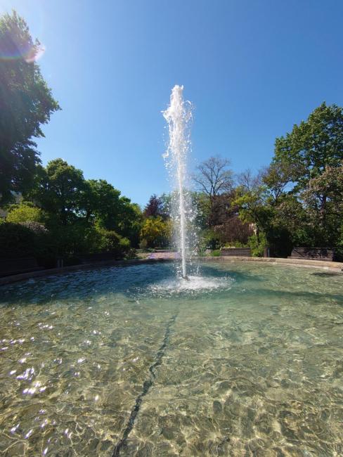 alte Bäckerei Bautzen - 00 #Kids# Images_2