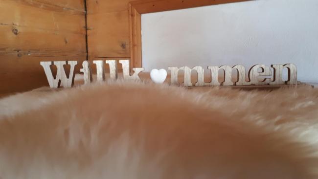 Ferienwohnung mit Charme - Lenzerheide Lain Images_2