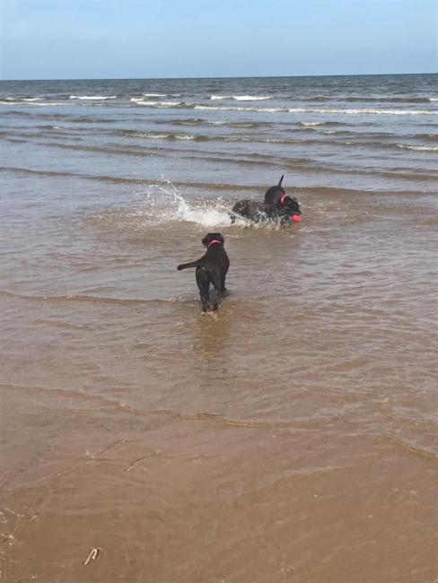 G10 mablethorpe chalet park Images_3