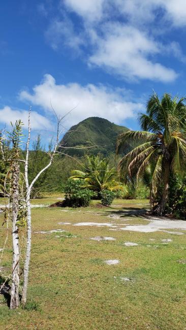 tifaifai et cafe Uta Images_1