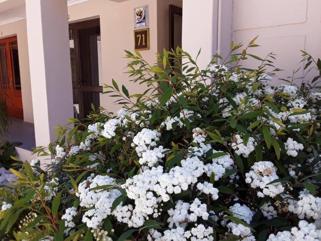 71 on Albert Guest House Images_2