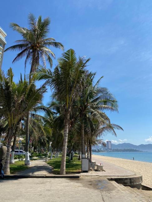 Apartment THIÊN KIM 10 Images_2