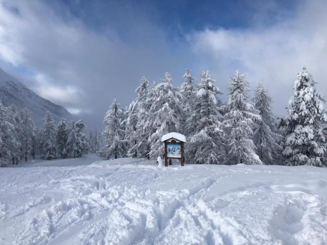 Perla delle Alpi Images_3