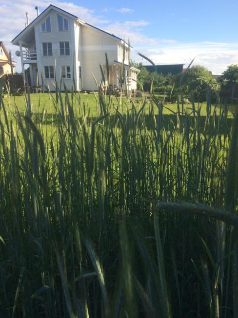 Деревенский дом на праздник Images_4