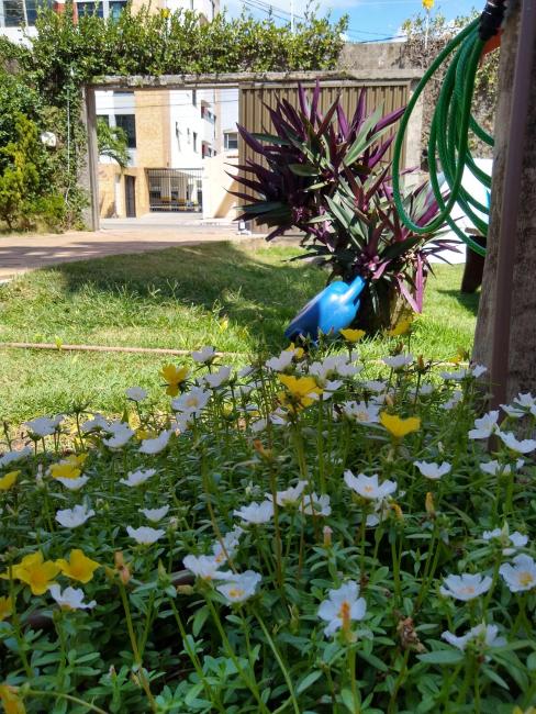 Comunidade Hostel CONSCIENTE Images_3