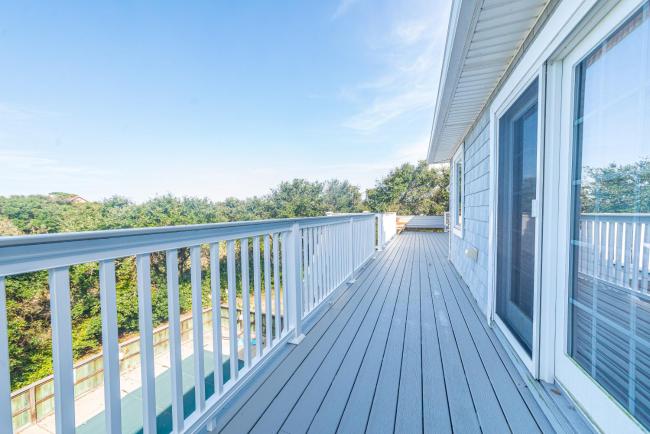 Sand Roots V Images_4