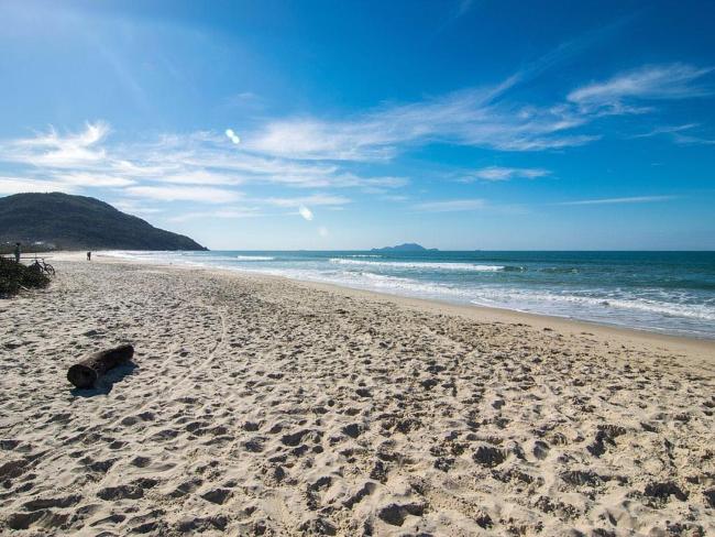 Ilha dos patos Images_5