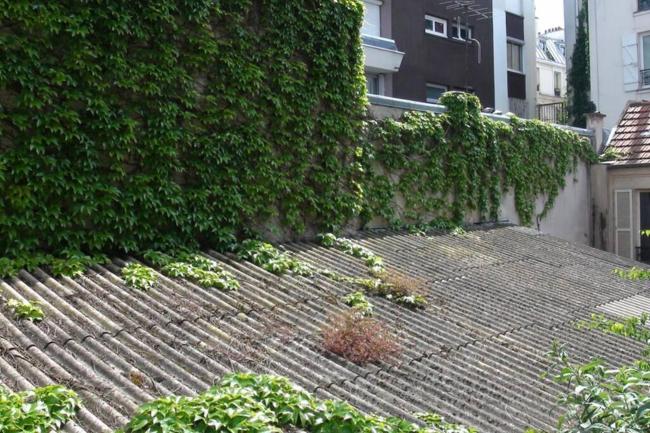 2-room apartment in Parisian style, 11 arr. Images_3