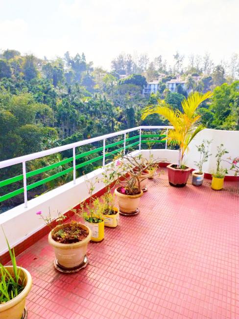 Kanchan's Nest Images_3
