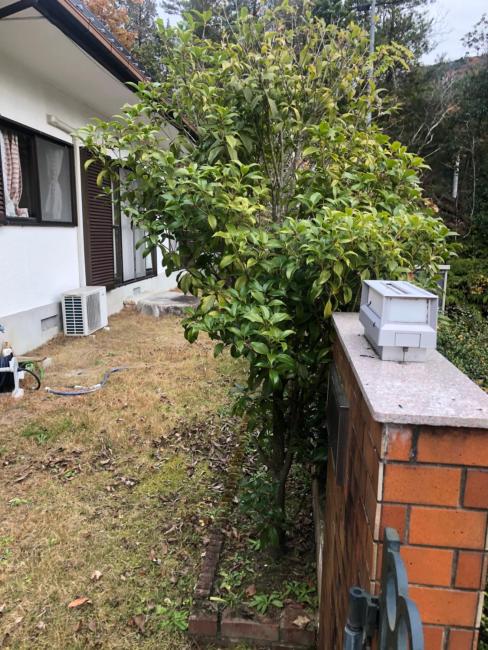 Hometay-hakata Images_4