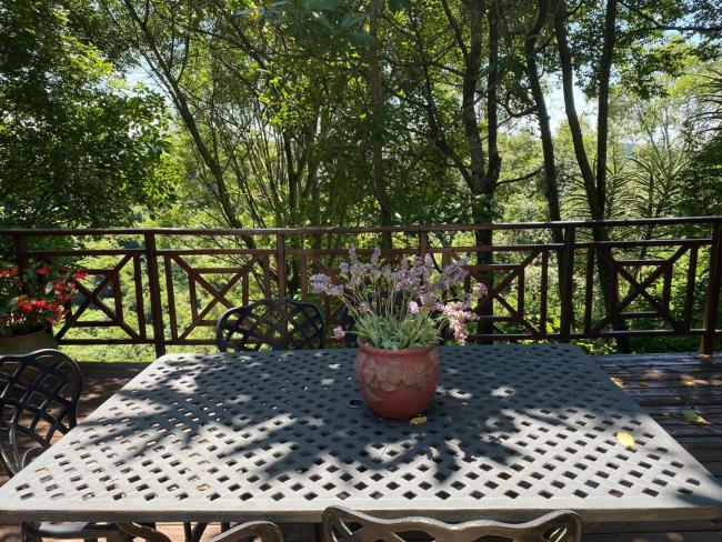 Cabbage Tree Cottage Images_4